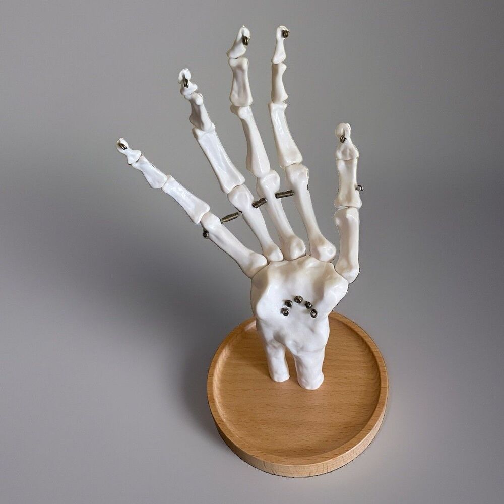 Suck UK Skeleton Hand Jewelry Tidy Holder Rings Necklace Earrings Halloween